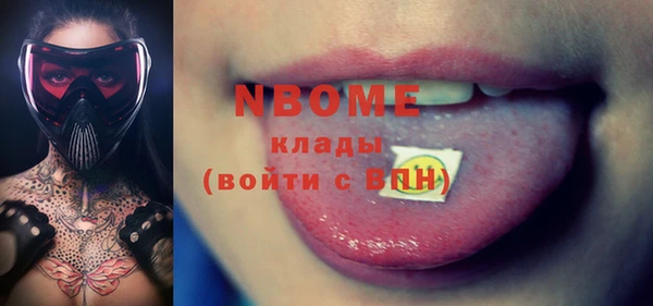 индика Вязьма