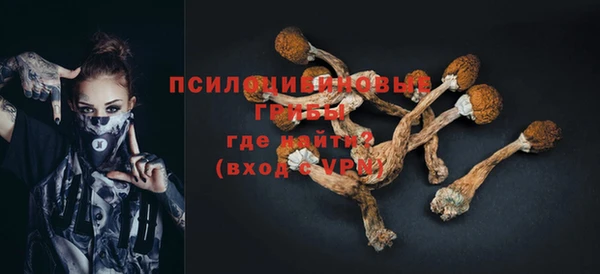 бутират Вяземский