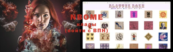 индика Вязьма