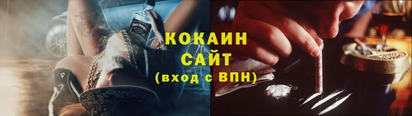 индика Вязьма