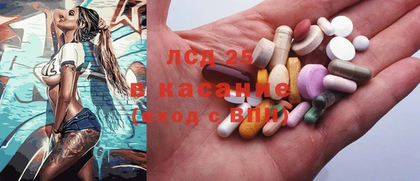 индика Вязьма